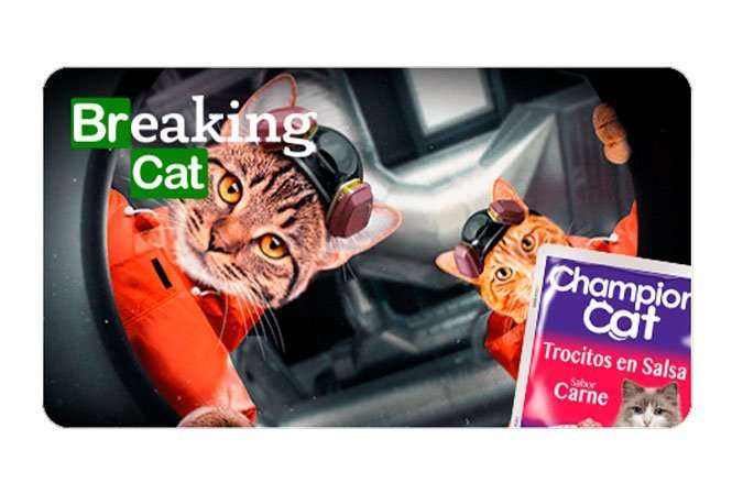 Breaking Cat, parodia de Braking Bad, de Catflix