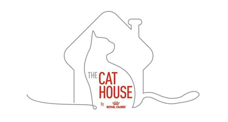 The cat house, dibujo
