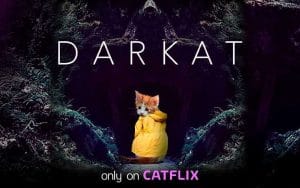Darkar only on Catflix, el Netflix de los gatos