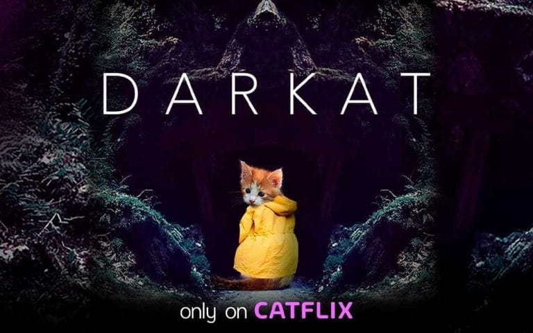 Darkar only on Catflix, el Netflix de los gatos