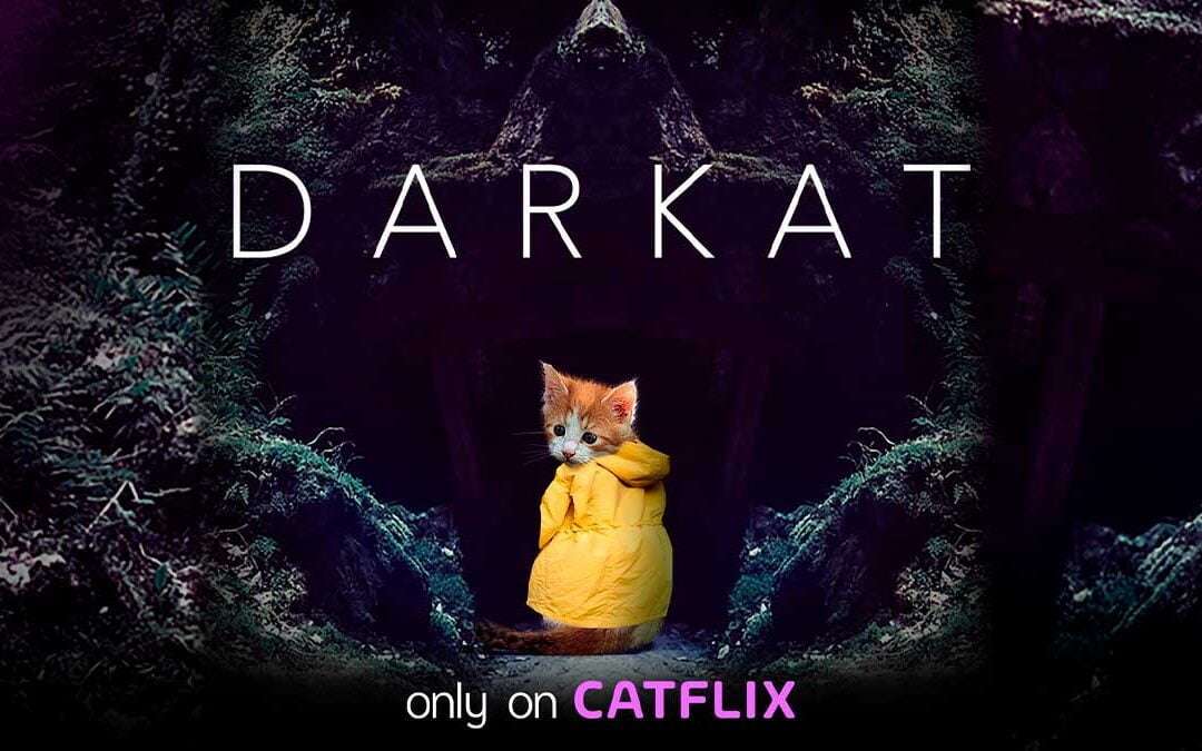 Catflix: El Netflix de los gatos 1 Darkar only on Catflix, el Netflix de los gatos
