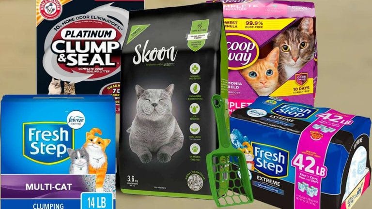 Mejor arena para gatos