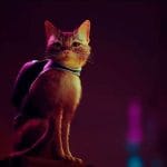 Stray, videojuego de un gato