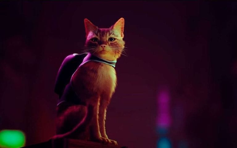 Stray, videojuego de un gato