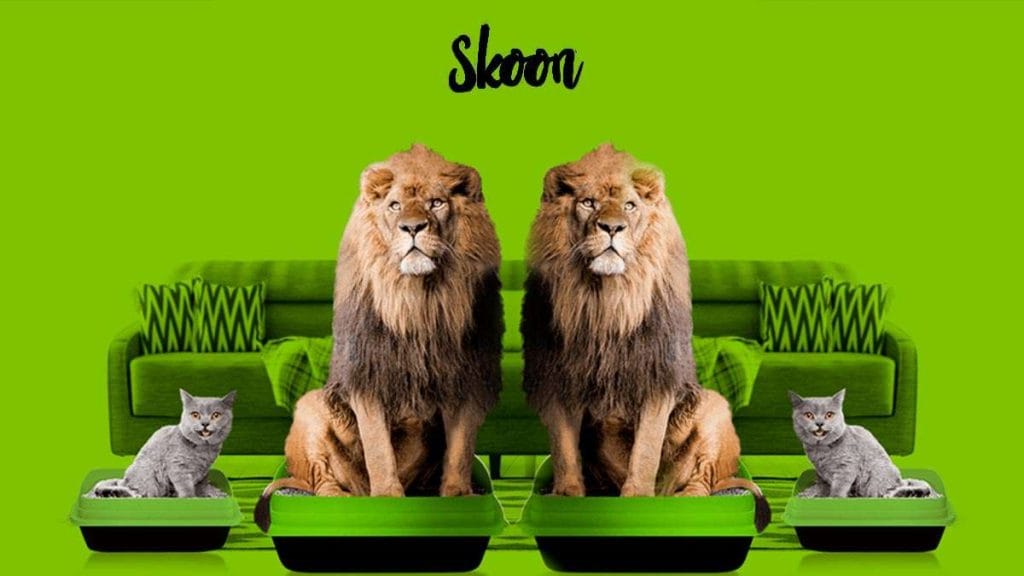Skoon, Arena premium para gatos