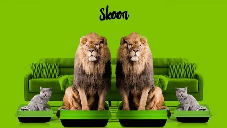 Skoon, Arena premium para gatos