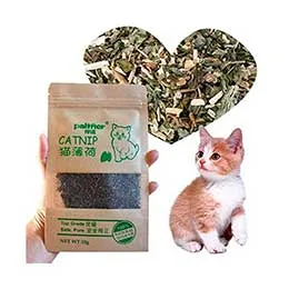 Catnip