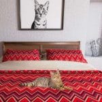 The cat house by royal canin