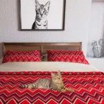 The cat house by royal canin