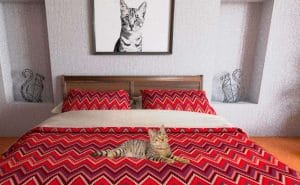 The cat house by royal canin