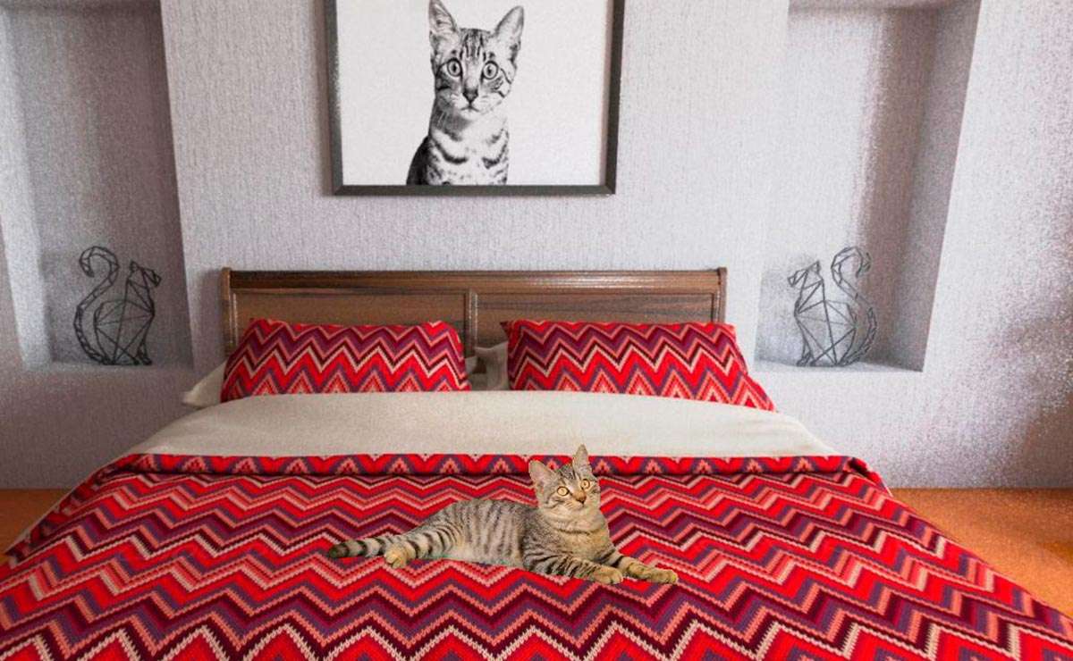 The cat house by royal canin