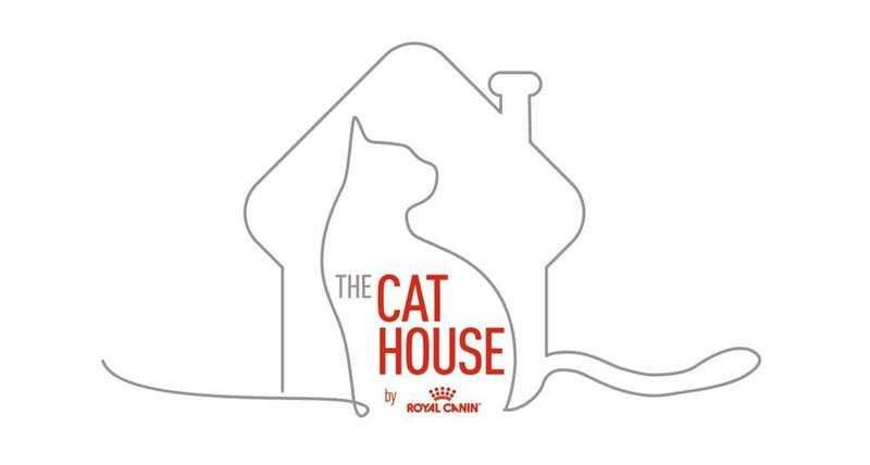 Royal Canin inaugura "The Cat House", espacio VR gratuito para salvar gatos del abandono 2 The cat house, dibujo