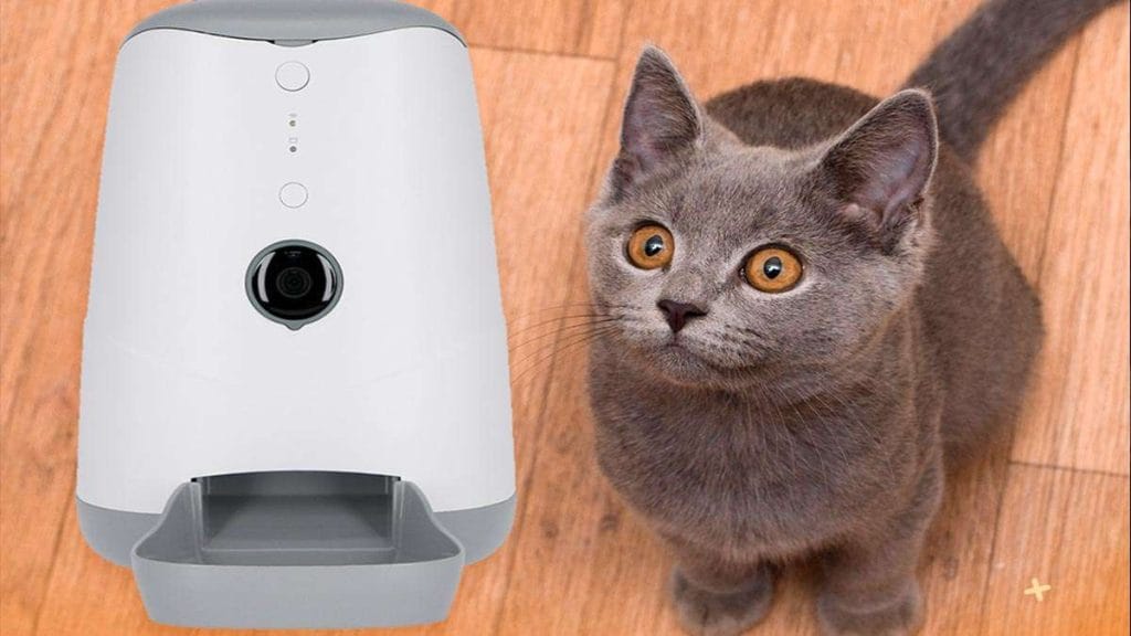 dispensador de alimento para gatosTecnolite Connect.