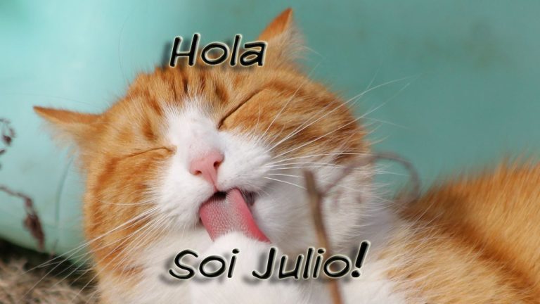 Julio en Julio